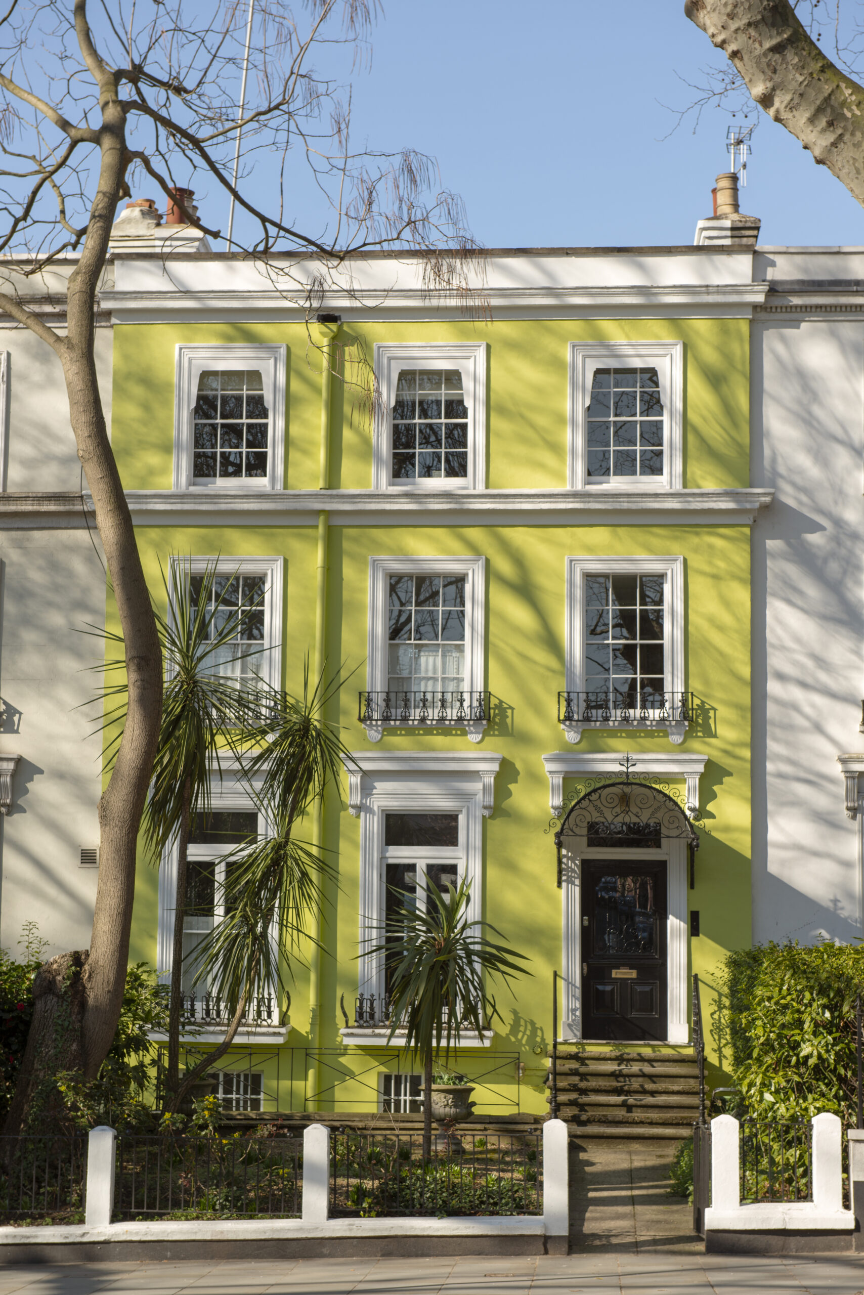 front-view-front-door-with-yellow-wall-plants